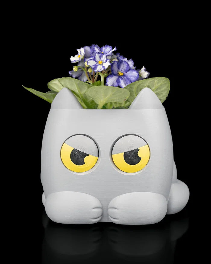 Grumpy Kitty Planter | Self-Watering Plant Pot with Water-Level Indicator Eyes 🐱🌱